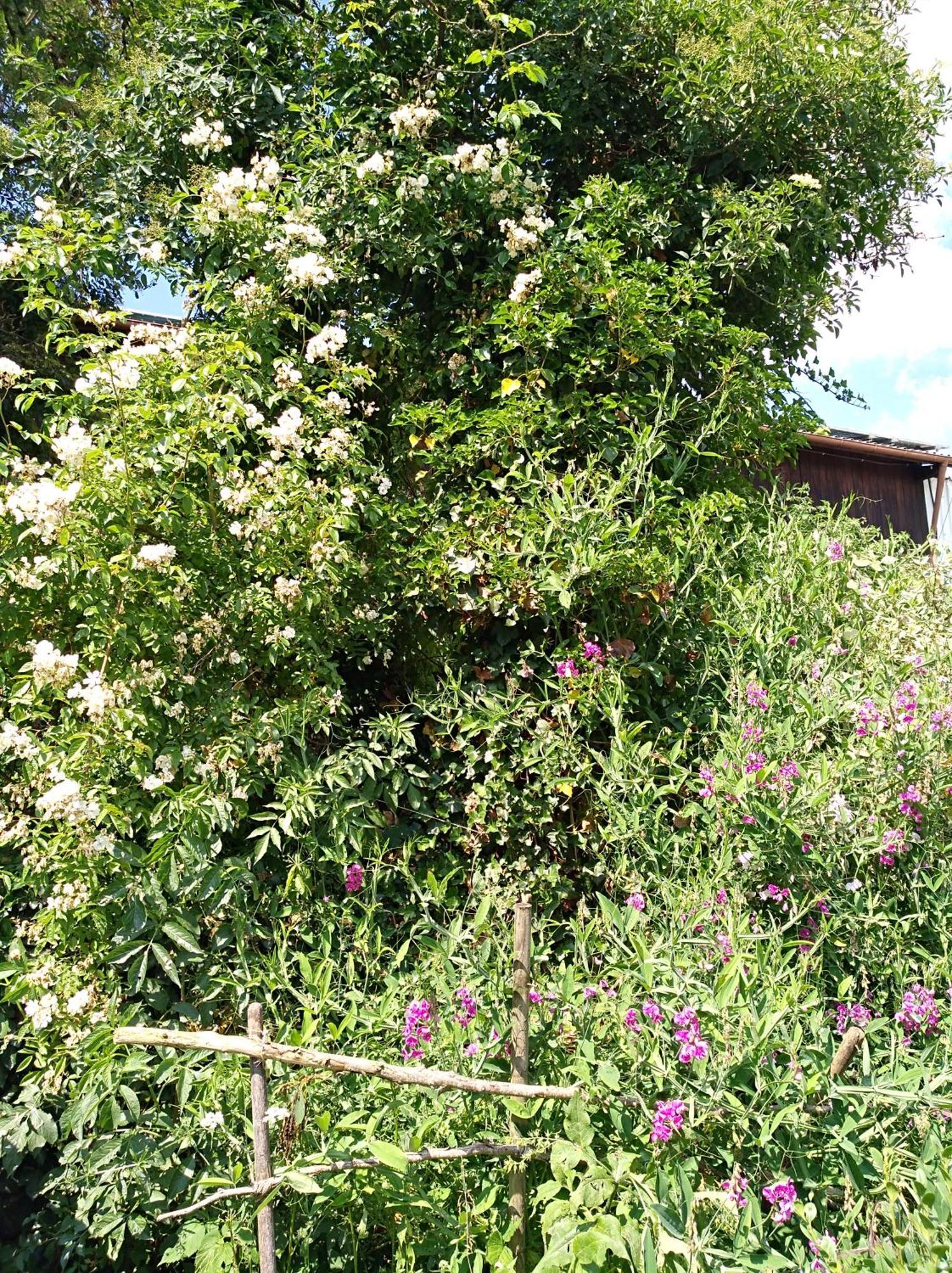 Landhaus Fohlenhof Mehrstetten Exterior photo